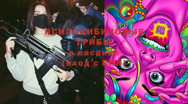 гидропоника Балахна