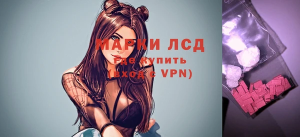 гидра Новозыбков